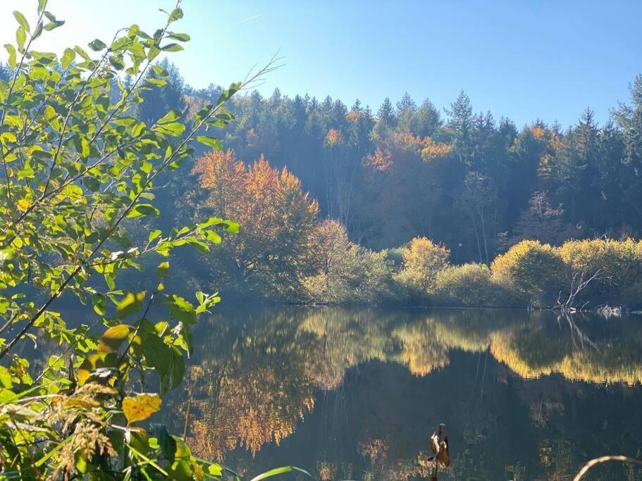 Charismatisch Und Gemuetlich In Guettingen, Nah Zum Buchensee Und Bodensee, Tolle Lage Radolfzell am Bodensee Buitenkant foto