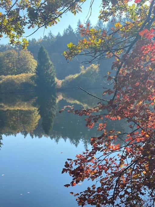 Charismatisch Und Gemuetlich In Guettingen, Nah Zum Buchensee Und Bodensee, Tolle Lage Radolfzell am Bodensee Buitenkant foto